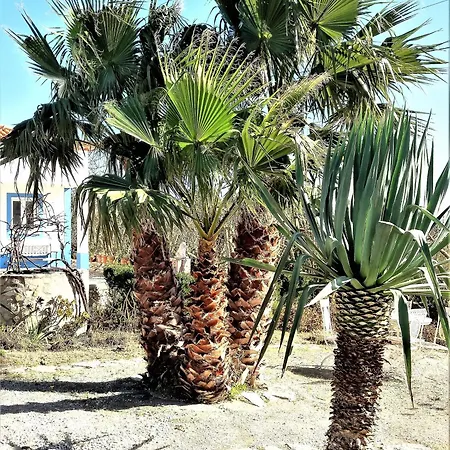 água Rocha Casa de Férias Serra de Mangues