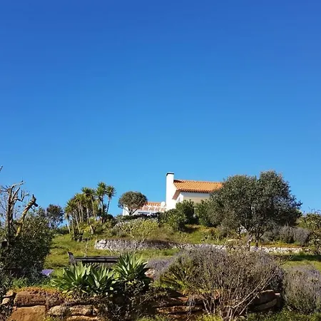 Dom wakacyjny Agua Rocha Serra de Mangues